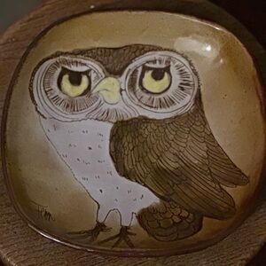 Hand-Painted Owl Ceramic Dish in Brown and Cream